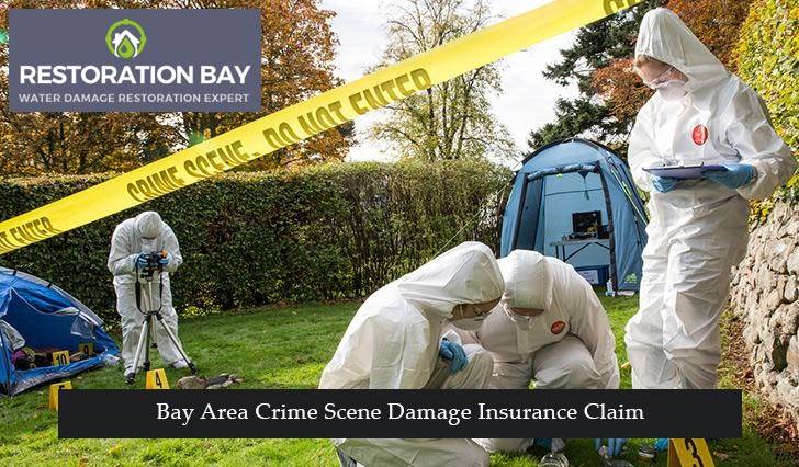 Bay Area Crime Scene Damage Insurance Claim