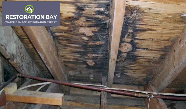 Attic Insulation Water Damage