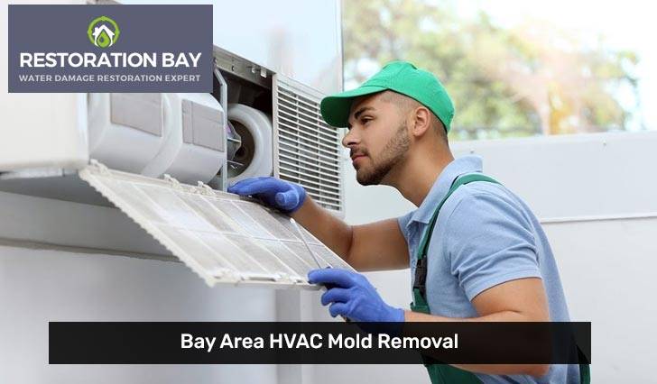 Bay Area HVAC Mold Removal