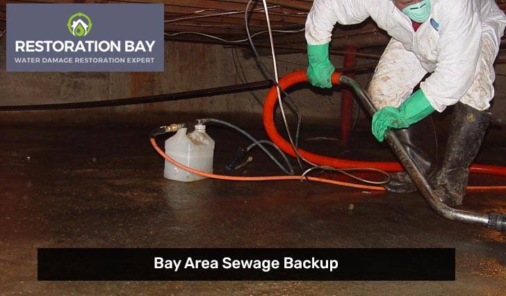 Bay Area Sewage Backup