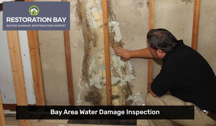 Bay Area Water Damage Inspection