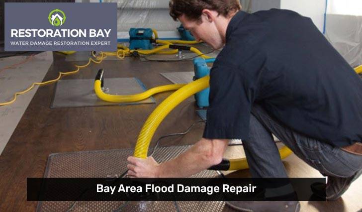 Bay Area Flood Damage Repair