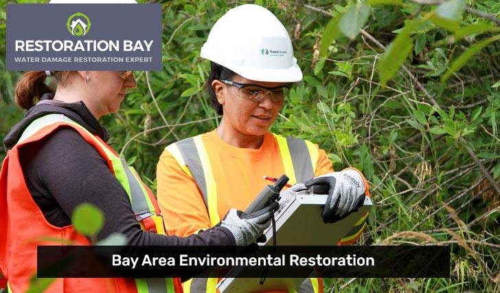 Bay Area Environmental Restoration